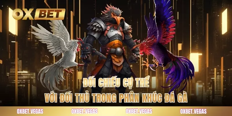 Đá Gà 3 Đối chiếu cụ thể với đối thủ trong phân khúc đá gà
