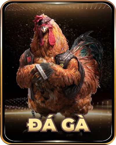 ĐÁ GÀ OXBET