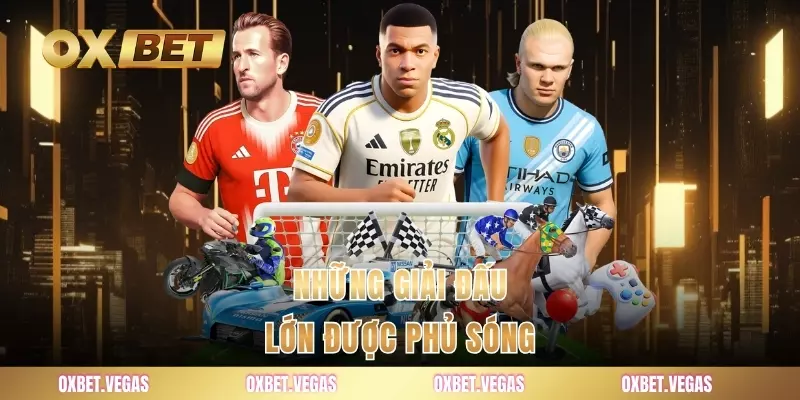 Thể Thao 2 Những giải đấu lớn được phủ sóng