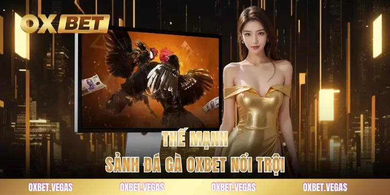 Đá Gà 1 Thế mạnh sảnh đá gà OXBET nổi trội
