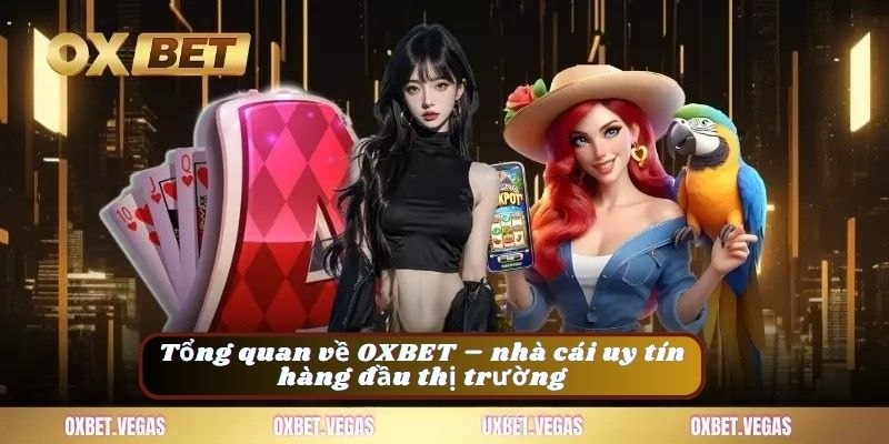 OXBET 15 OXBET